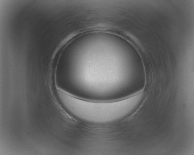 X0000070391410200606090849