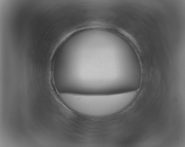 X0000070391415200606090849
