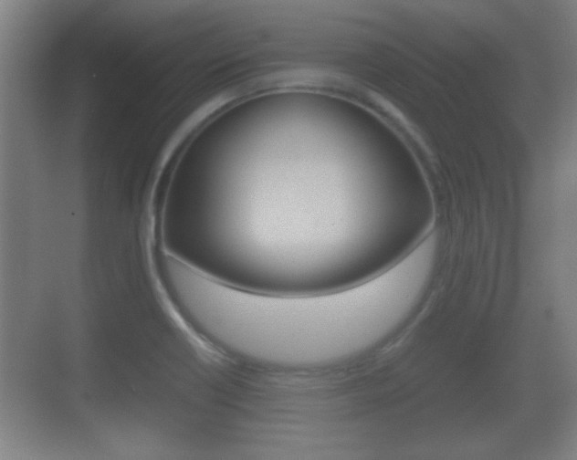 X0000070391418200606090849