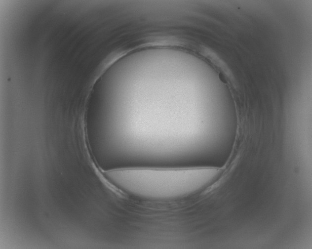 X0000070391425200606090849