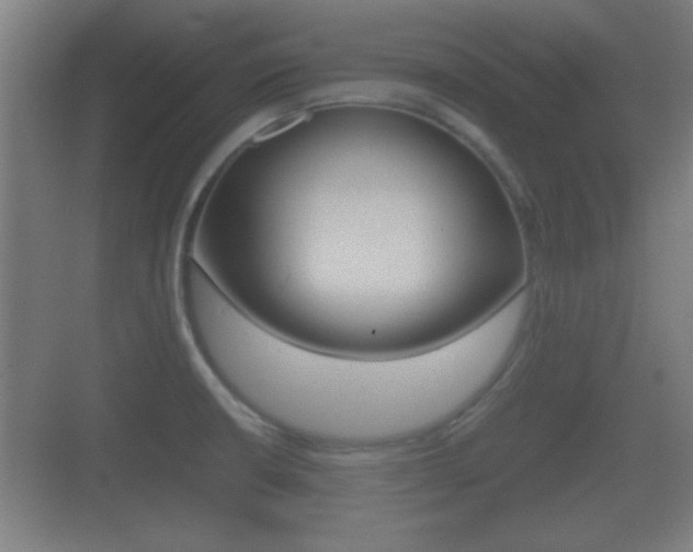 X0000070391426200606090849