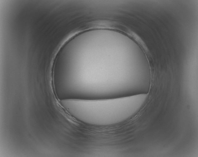 X0000070391435200606090849