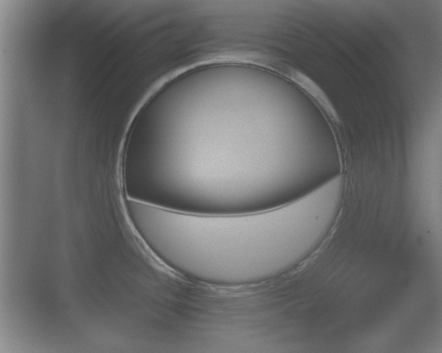 X0000070391436200606090849