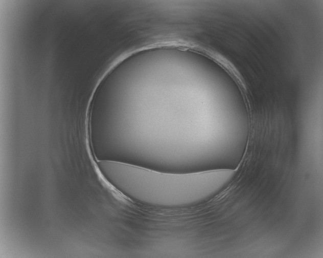 X0000070391439200606090849
