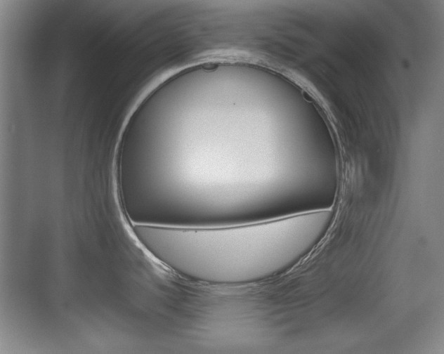 X0000070391440200606090849