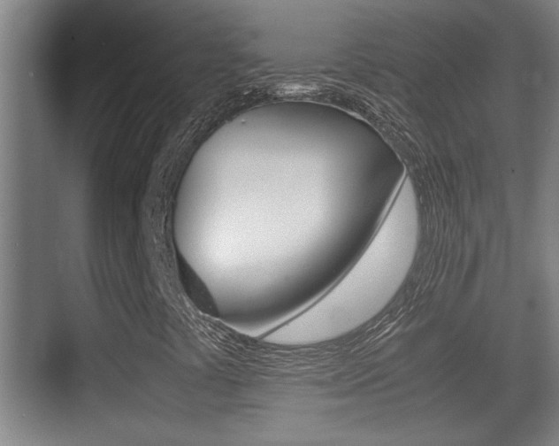 X0000070391441200606090848
