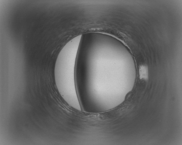 X0000070391444200606090848