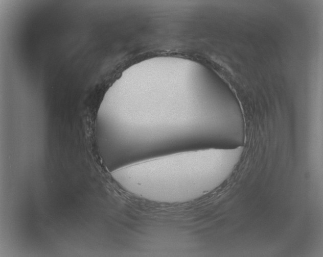 X0000070391447200606090848
