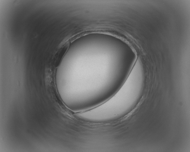 X0000070391449200606090848
