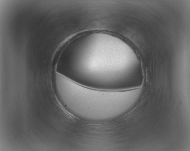 X0000070391452200606090848