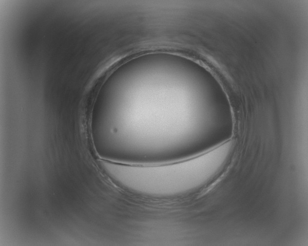 X0000070391453200606090848