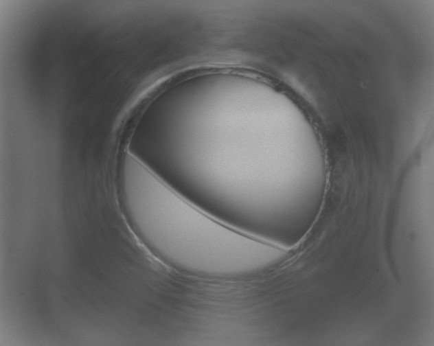 X0000070391456200606090848