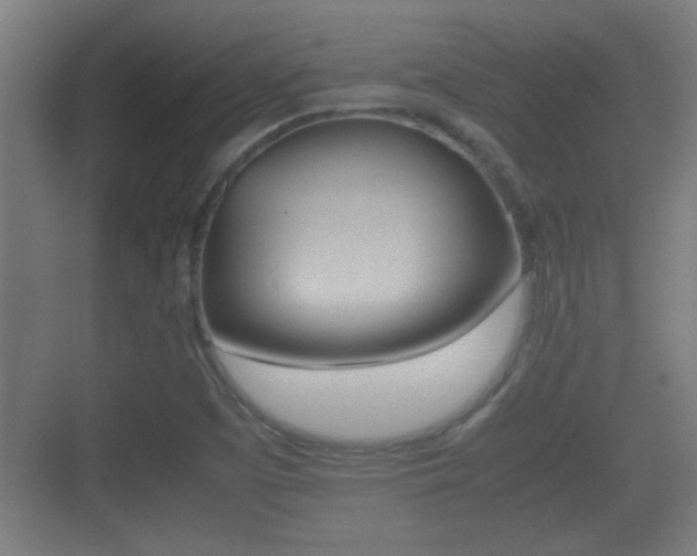 X0000070391457200606090848