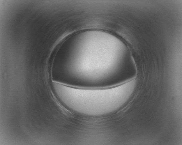 X0000070391458200606090848