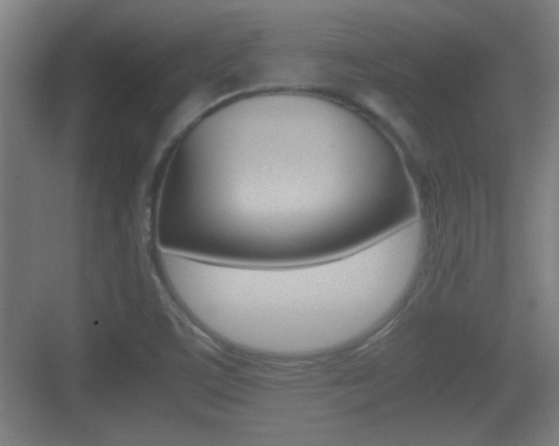 X0000070391459200606090848