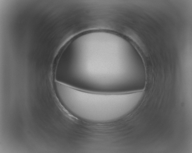 X0000070391460200606090848
