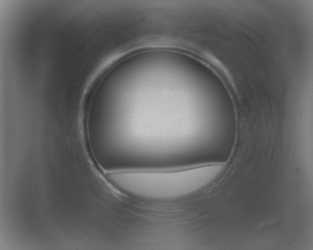 X0000070391464200606090848