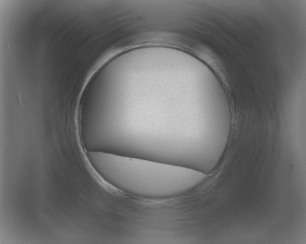 X0000070391482200606090848