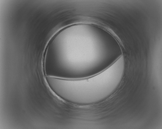 X0000070391484200606090848