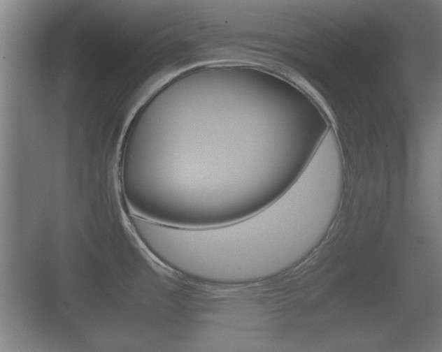 X0000070391485200606090848