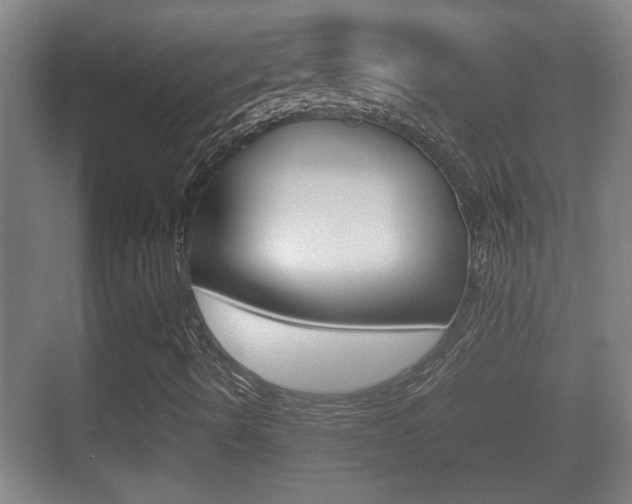 X0000070391490200606090847