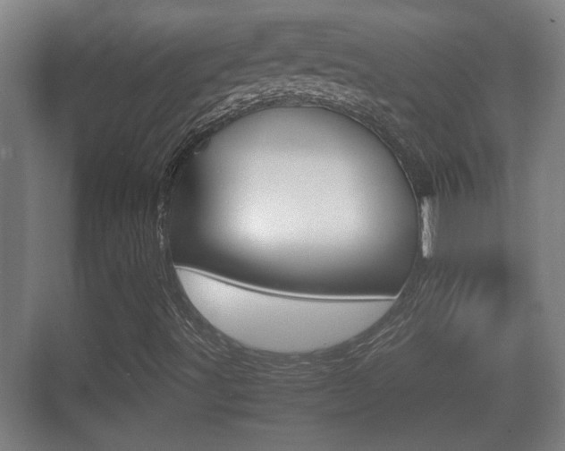 X0000070391491200606090847