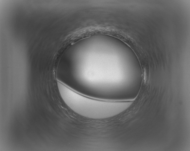 X0000070391492200606090847