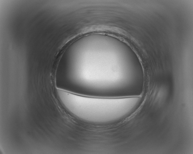 X0000070391497200606090847