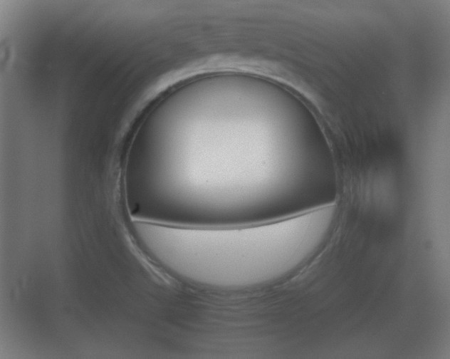 X0000070391507200606090847
