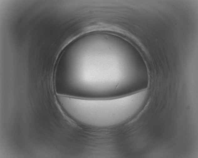 X0000070391513200606090847