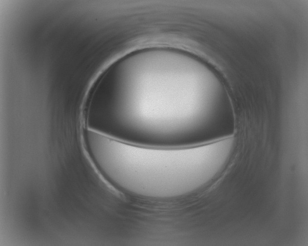 X0000070391517200606090847