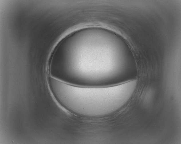 X0000070391519200606090847