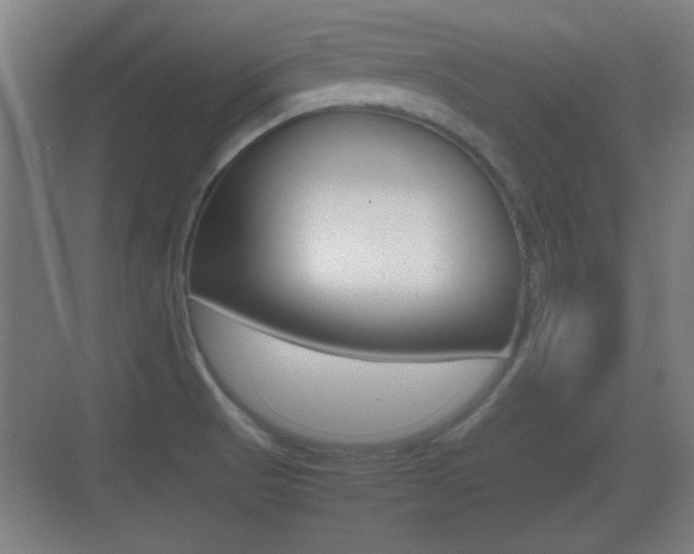 X0000070391521200606090847