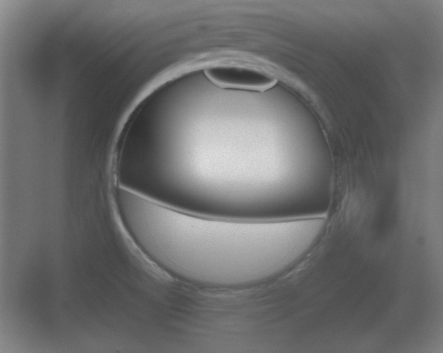 X0000070391522200606090847