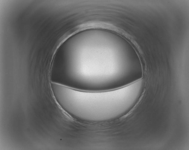 X0000070391529200606090847
