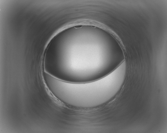 X0000070391530200606090847