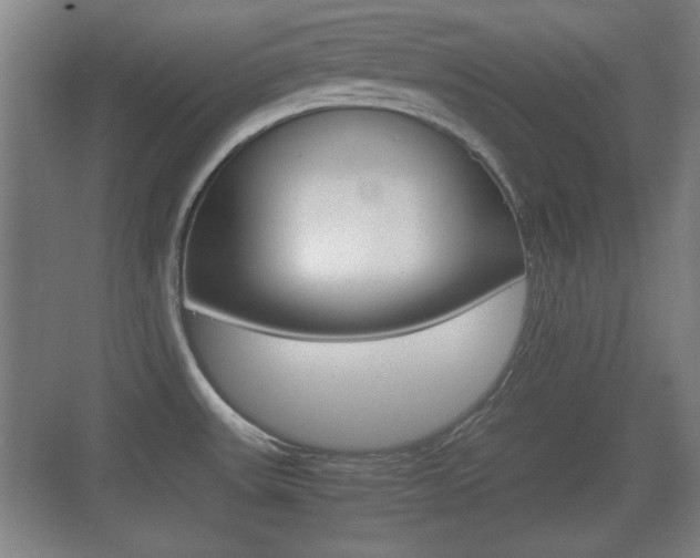 X0000070391531200606090847