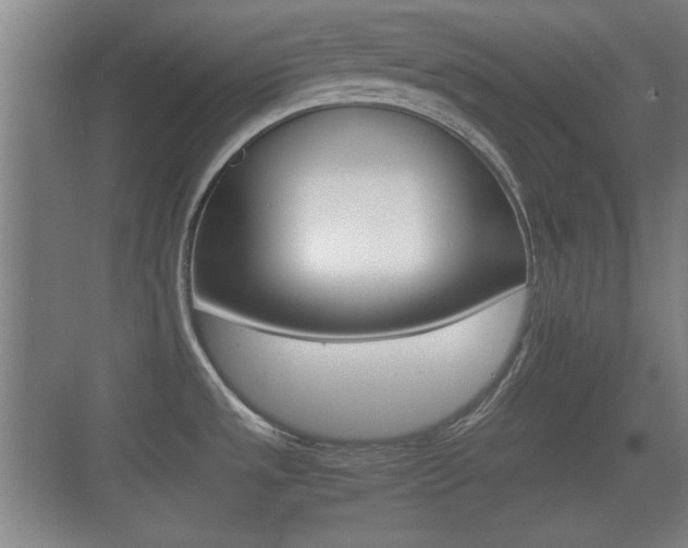 X0000070391533200606090847