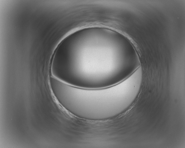X0000070391534200606090848