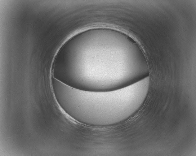 X0000070391535200606090848