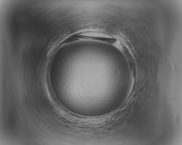 X0000070390001200606091203