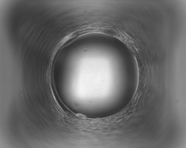 X0000070390003200606091203