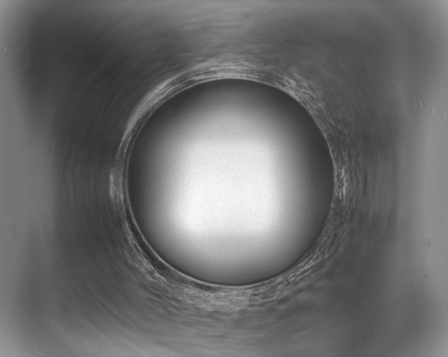 X0000070390004200606091203