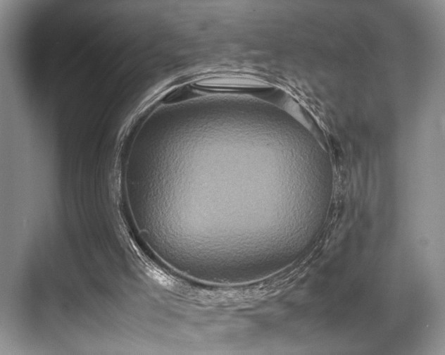X0000070390005200606091203