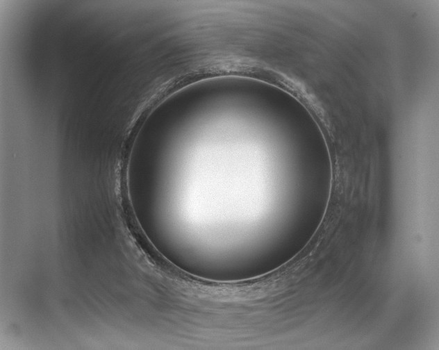 X0000070390010200606091203