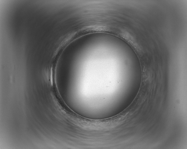 X0000070390014200606091203
