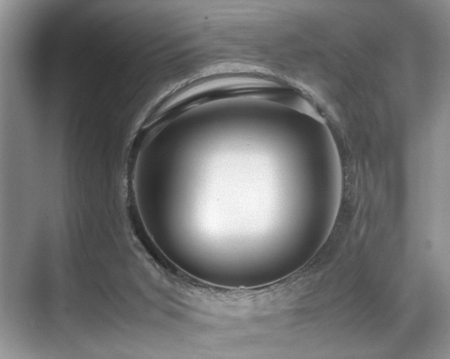 X0000070390015200606091203