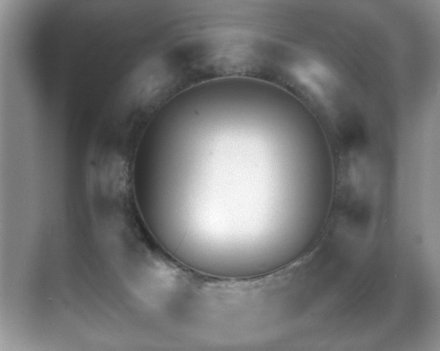 X0000070390025200606091203