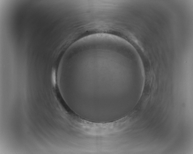X0000070390027200606091203