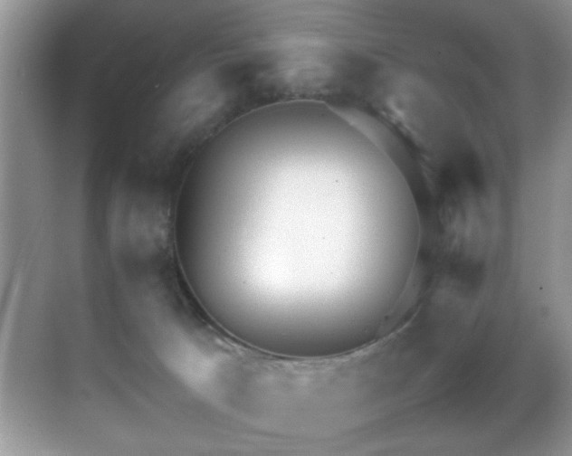 X0000070390033200606091203
